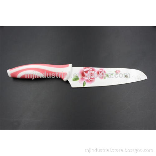 Non-stick color coating flower painting stainless steel kitchen knife